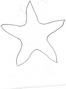modello stella marina
