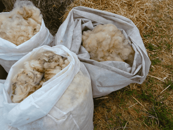 guida ai tessuti la lana
