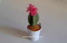 cactus uncinetto con fiore tutorial