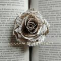 realizzare rose con carta di libri