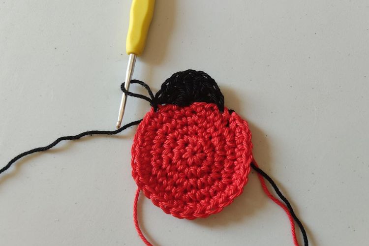 coccinella piatta crochet schema testa